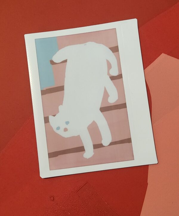 Instax  x3 – Image 15