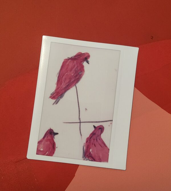 Instax  x3 – Image 12